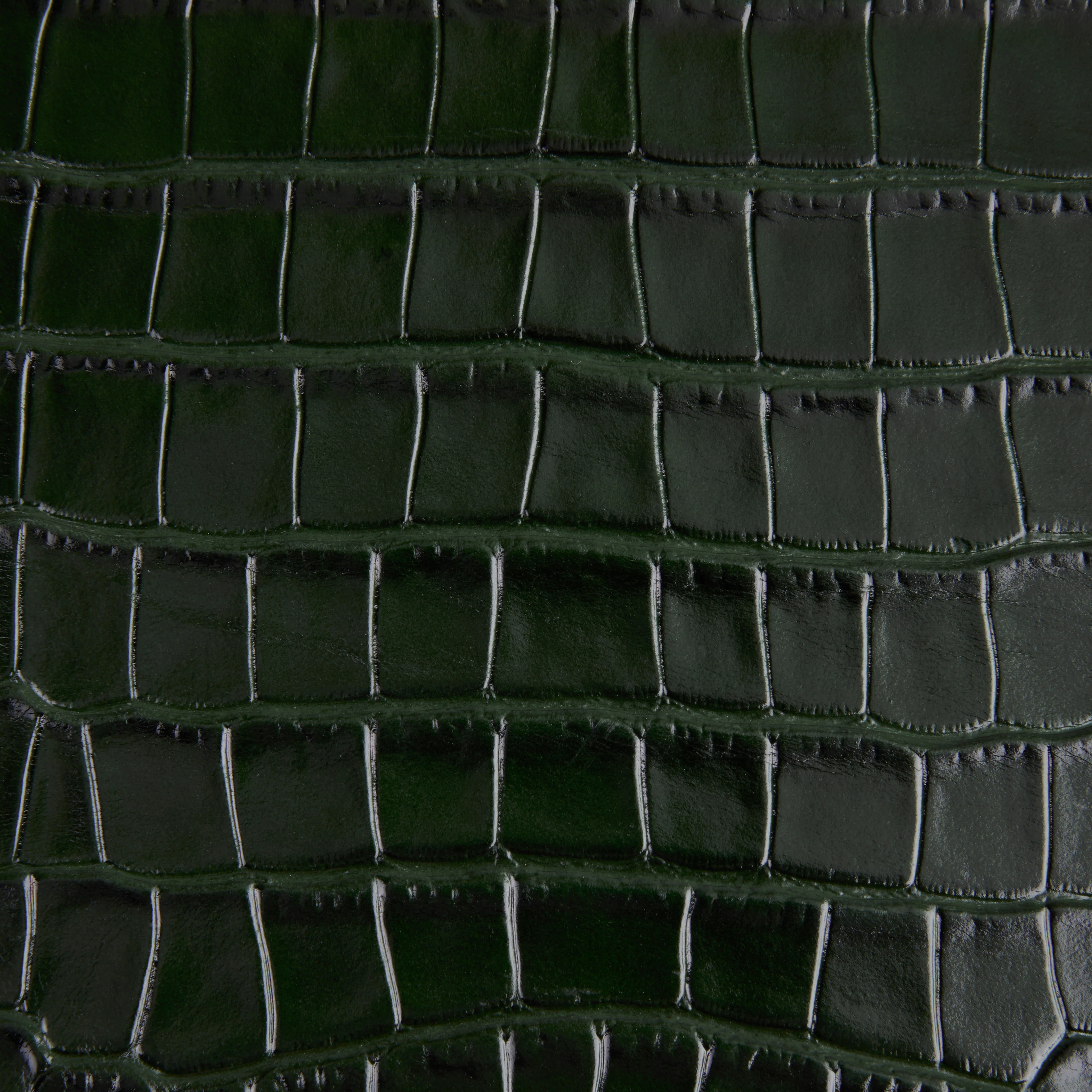 Emerald Croc Embossed Cardholder - Image 5