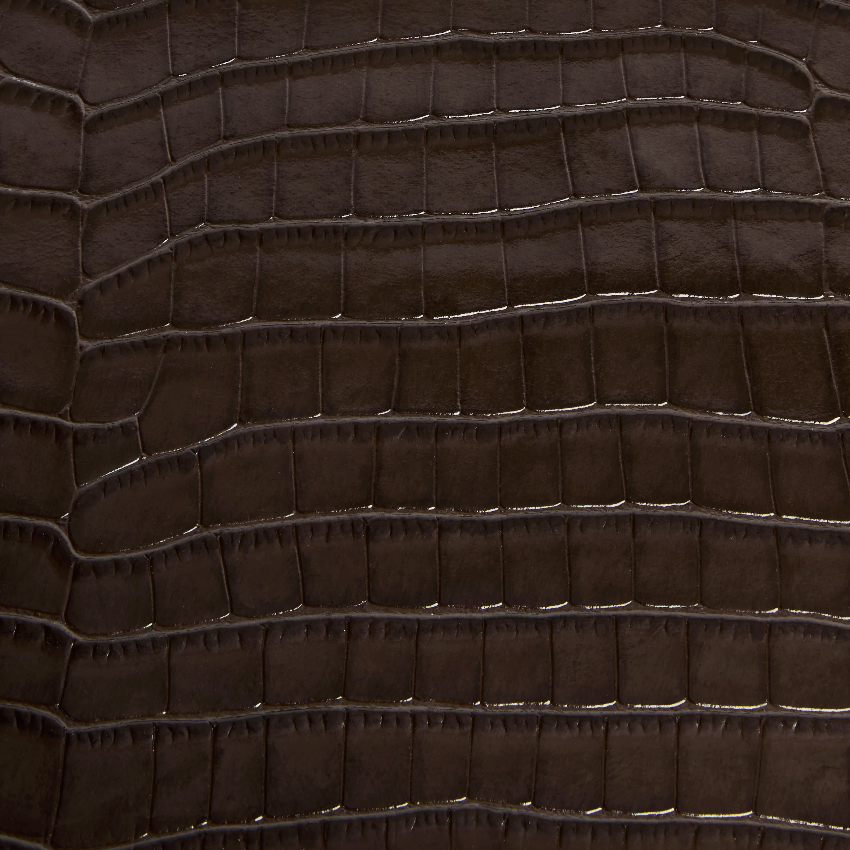 Mocha Croc Éclair Bag - Image 11
