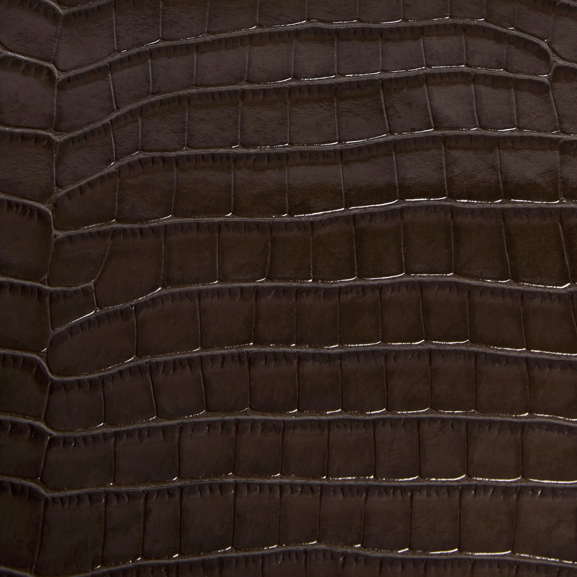 Mocha Croc Embossed Cardholder - Image 5